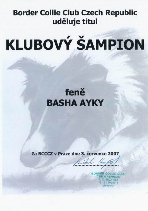 Basha klubový šampion