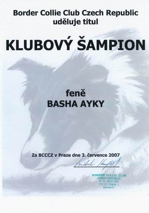 Basha klubový šampion