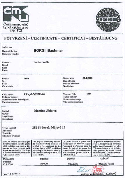 Borgi pracovní certifikát