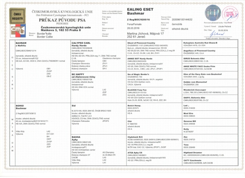 Eset rodokmen